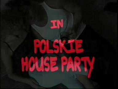  Польские домашние вечеринки / Polskie house party (2005) DVDRip