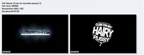  Кончай на мою волосатую киску 7  (2007) DVDRip