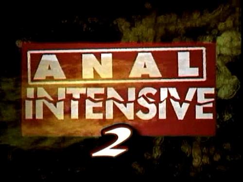  Anal intensive 2 (2004) SATRip