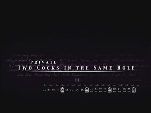  Two Cocks (2000) DVD