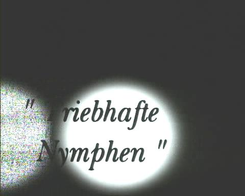  Junge Debutantinnen Triebhafle Nymphen Молодые Дебютантки  (2000) DVDRip