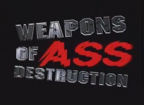  Разрушающее оружие для задниц (2009) DVDRip