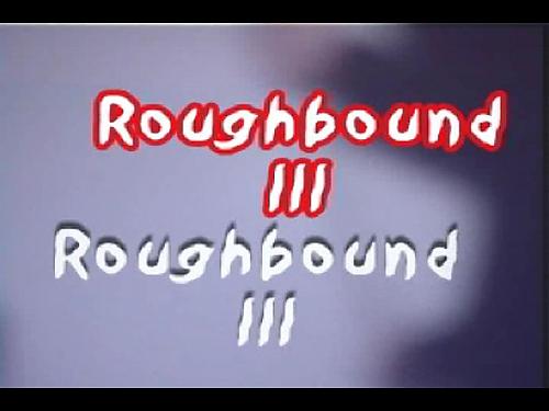  Rough Bound 3 (2009) DVDRip