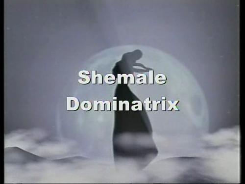  SMB-004-MFX Shemale Dominatrix (2009) DVDRip
