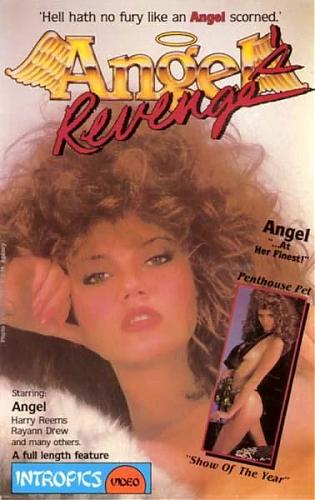 Angel`s Revenge (1985) DVDRip