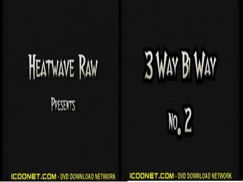  3 Way bi Way (2003) TVRip