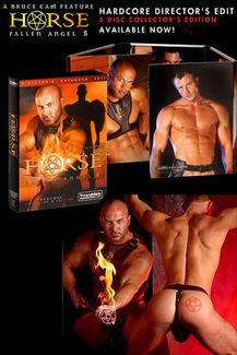  [Gay] HORSE - Fallen Angel 5 (2004) DVDRip