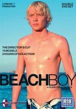  [Gay] Мальчик-бич (Beachboy) (2004) DVDRip