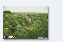  блондинку трахают!!! (2008) SATRip