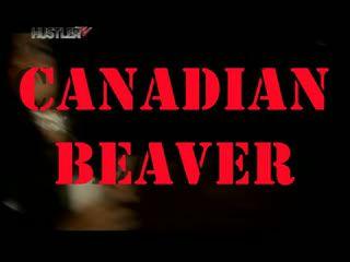  Canadian beaver (2007) DVDRip