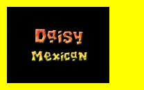  DAISY   MEXICAN (2009) TS