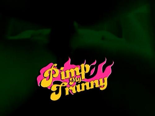  PIMP MY TRANNY (shemale) (2009) DVDRip