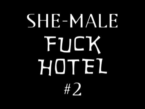  Shemale Fack Hotel #2 (2009) DVDRip