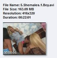  5 Shemales 1 Boy (2009) DVDRip