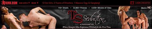   [tsseduction.com / Kink.com] SITERIP Jul 29, 2009 (200 роликов) [BDSM,Transsex,Shemale,Fetish Domination, SiteRip] (2008) Other