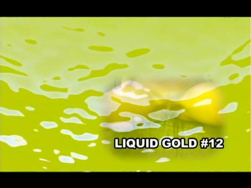  LIQUID GOLD 12 (2009) DVDRip