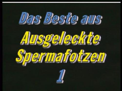  Ausgeleckte Spermafotzen#1 (2009) DVDRip