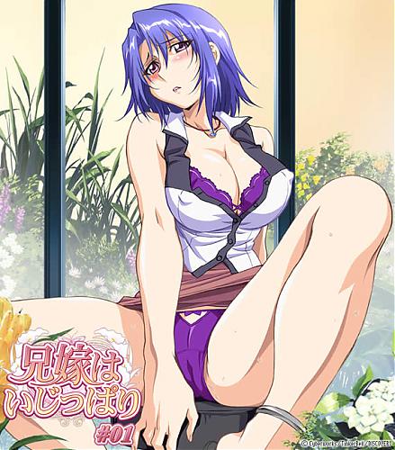  Lover-in-Law / Aniyome wa Ijippari / Упрямые жёны (ep. 1-2 of 2) (2008) HDTV