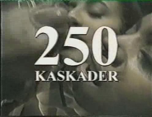  250 Kaskader( По просьбе Kongo_ru - о диете...) (1993) DVDRip