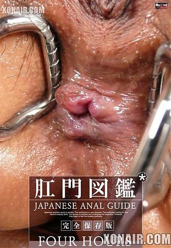  Japanese Anal Guide