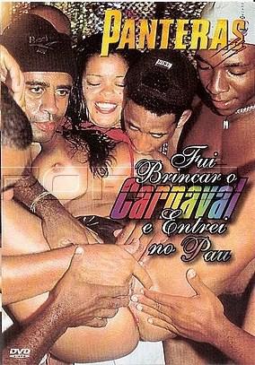  Fui Brincar o Carnaval e Entrei no Pau